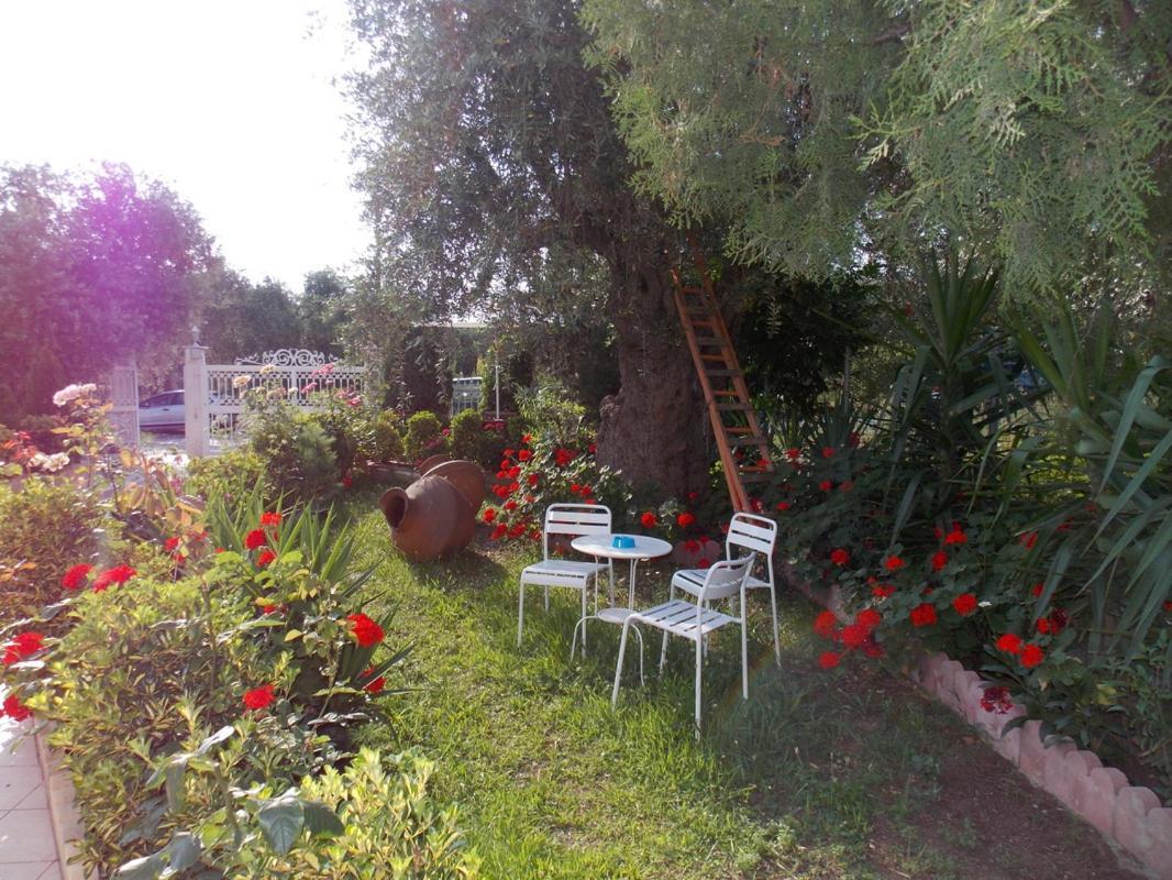 Ioli Apartments Limenas  Bagian luar foto
