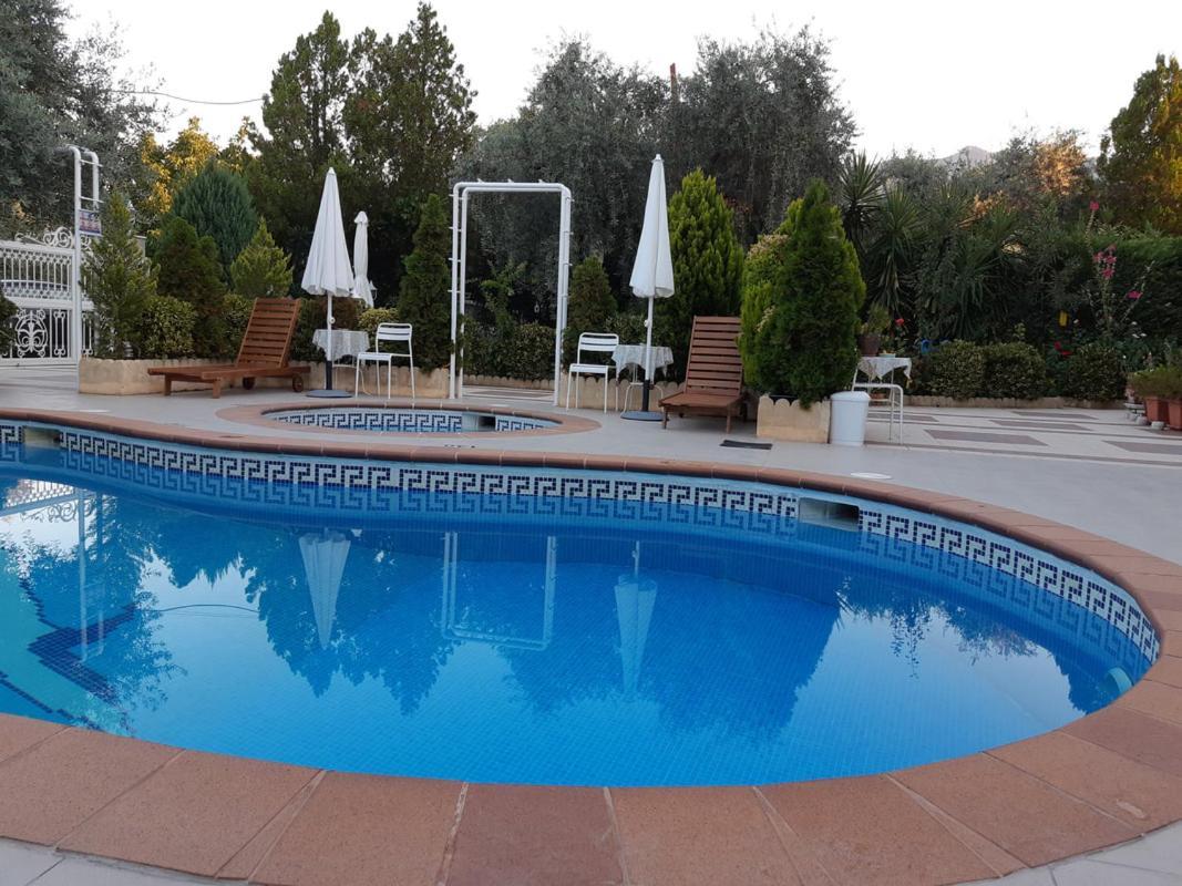 Ioli Apartments Limenas  Bagian luar foto